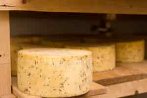 Foto gratuita diferentes rollos de queso en el interior