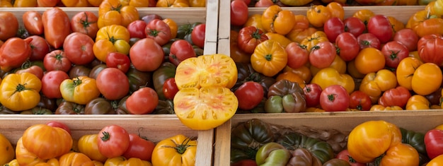 Diferentes tomates en el mercado francés.