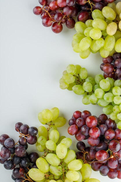 Diferentes uvas maduras sobre un fondo blanco.