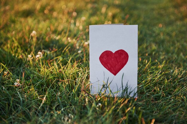 Diseño creativo de hierba verde con una tarjeta de papel.