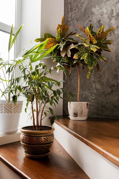 Foto gratuita diseño de interiores con plantas en escaleras.