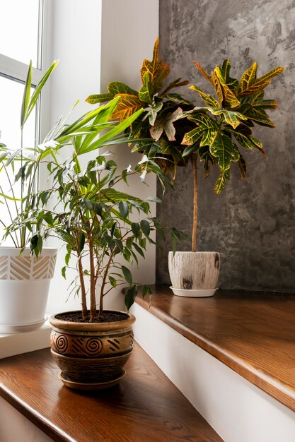 Diseño de interiores con plantas en escaleras.