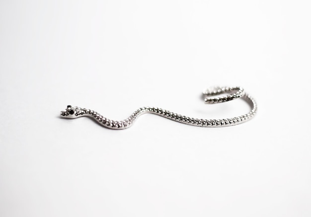 Diseño plano de estilo de vida de Snake Jewelry con lugar para texto Banner de maqueta de fondo de joyería Accesorios de moda