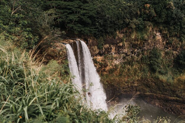 Disparo de alto ángulo de cascadas en el parque estatal del río Wailua en Hawaii, EE.