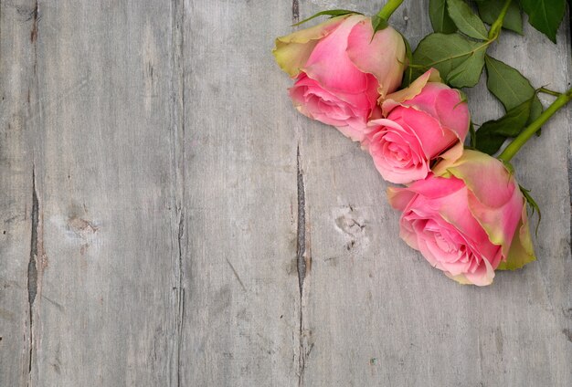 Disparo de alto ángulo de las hermosas rosas rosadas sobre una superficie de madera