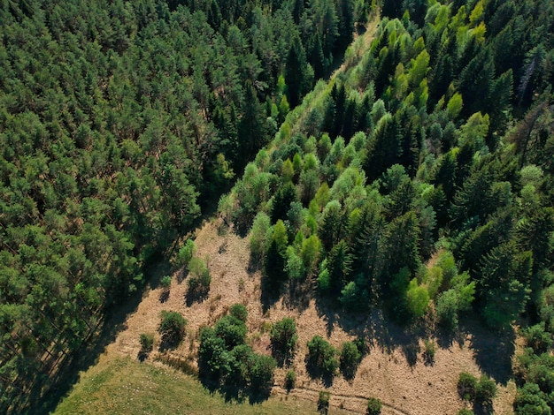 Disparo de alto ángulo de un hermoso paisaje verde con árboles en la región de Minsk de Bielorrusia