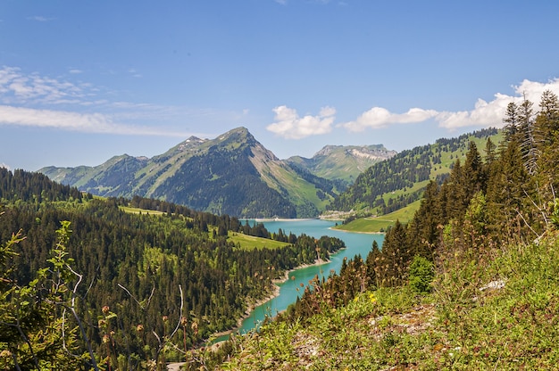 Disparo de alto ángulo de un hermoso río turquesa entre las colinas en Longrin, Suiza