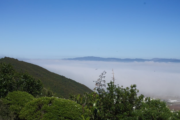 Disparo de alto ángulo de Hutt Valley en Nueva Zelanda cubierto de niebla