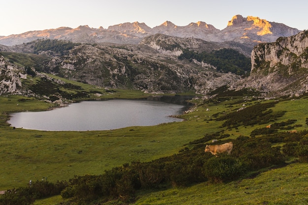 Foto gratuita disparo de alto ángulo del lago ercina rodeado de montañas rocosas