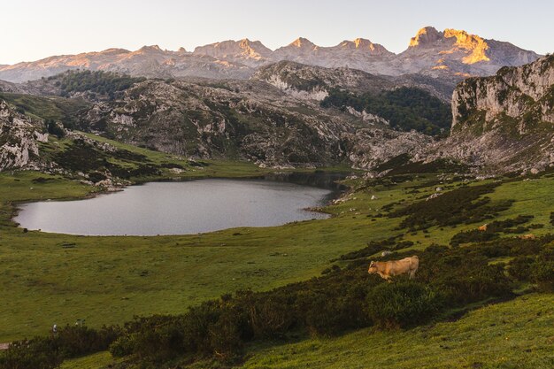 Disparo de alto ángulo del lago Ercina rodeado de montañas rocosas