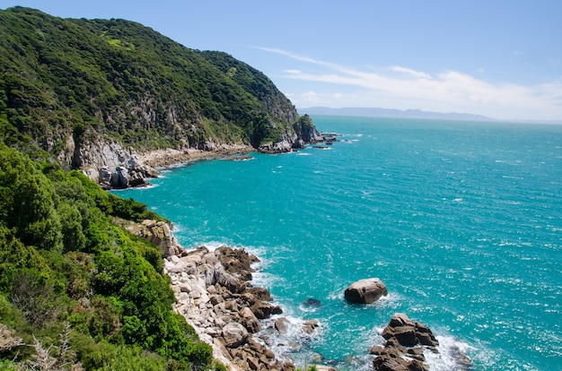 Disparo de alto ángulo del mar azul desde el Abel Tasman Track, Nueva Zelanda