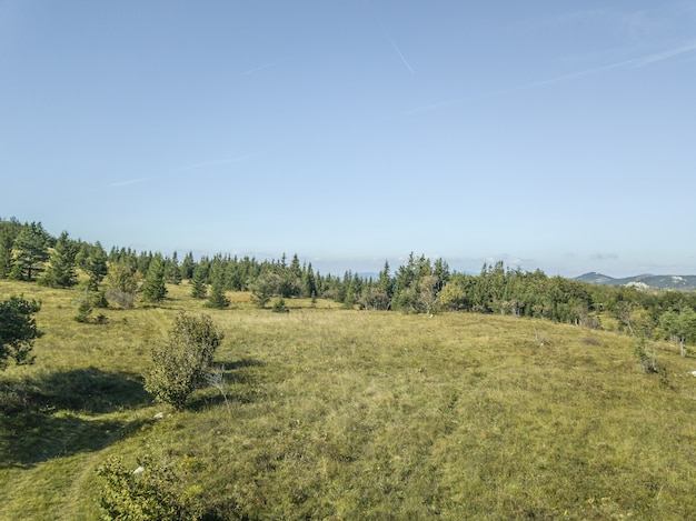 Disparo de alto ángulo de una montaña con árboles relucientes bajo el cielo azul en Eslovenia