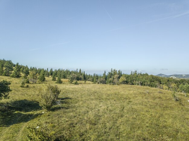 Disparo de alto ángulo de una montaña con árboles relucientes bajo el cielo azul en Eslovenia