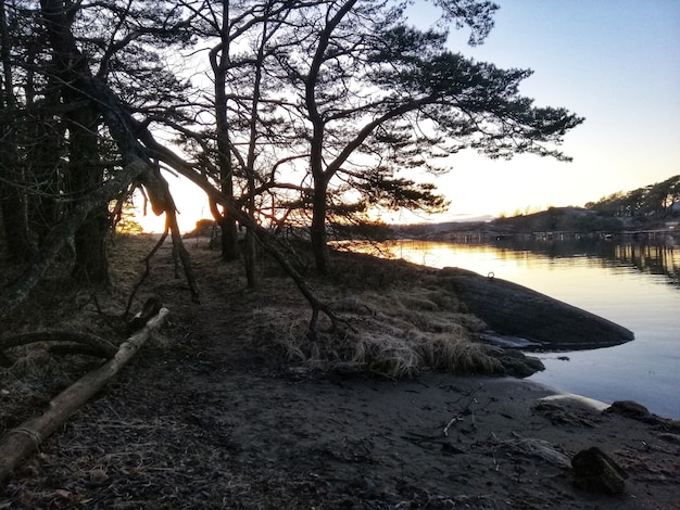 Disparo de alto ángulo de un río durante una fascinante puesta de sol en Ostre Halsen, Noruega