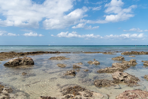 Disparo de alto ángulo de la tranquila costa del océano bajo el cielo nublado