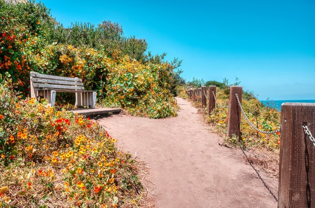 Disparo de ángulo bajo de un banco de madera rodeado de flores bajo un cielo azul claro