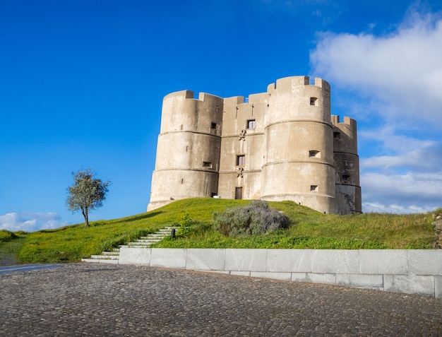 Disparo de ángulo bajo del Castillo de Evoramonte en Estremoz en Portugal