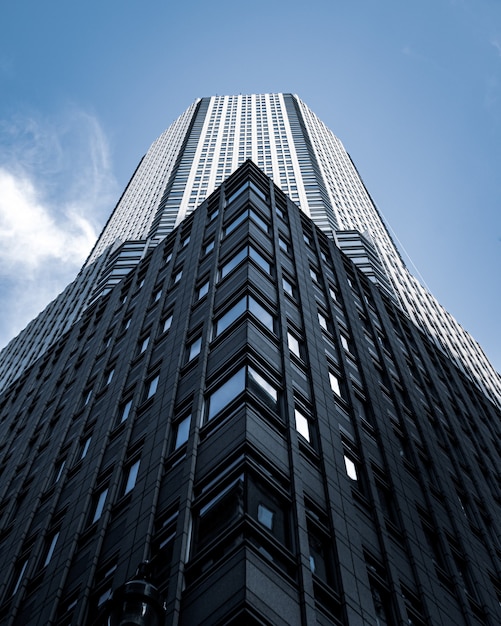 Foto gratuita disparo de ángulo bajo de un edificio alto de la ciudad con un cielo azul de fondo en nueva york