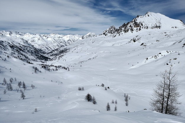 Disparo de ángulo bajo de una montaña boscosa cubierta de nieve y caminos bajo un cielo azul