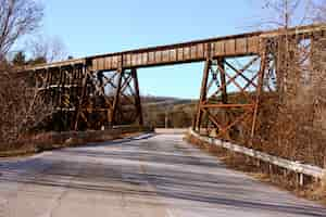 Foto gratuita disparo de ángulo bajo de un puente ferroviario oxidado rodeado de árboles sin hojas