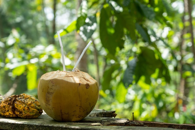 Foto gratuita disparo de enfoque selectivo de agua de coco