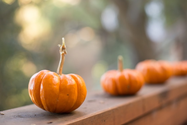 Disparo de enfoque selectivo de calabazas en una superficie de madera