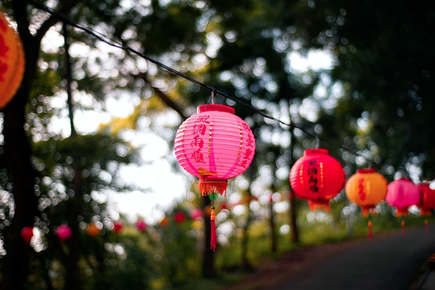 Disparo de enfoque selectivo de una linterna china rosa colgando de un cable