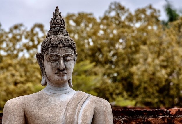 Disparo de enfoque superficial de una antigua estatua de Buda