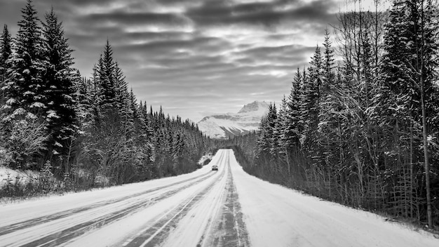 Disparo en escala de grises de un automóvil en una carretera en medio de un bosque rodeado de montañas nevadas