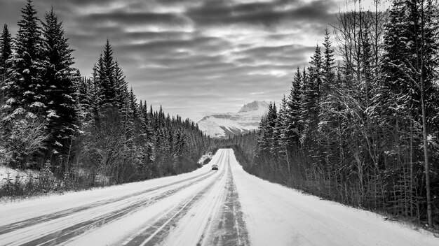 Disparo en escala de grises de un automóvil en una carretera en medio de un bosque rodeado de montañas nevadas