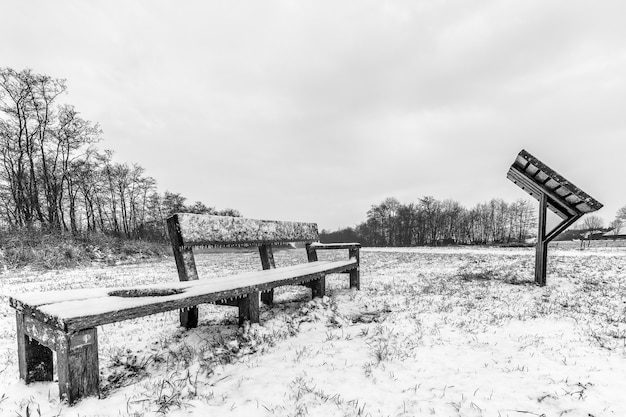 Disparo en escala de grises de bancos en un campo cubierto de nieve bajo un cielo nublado