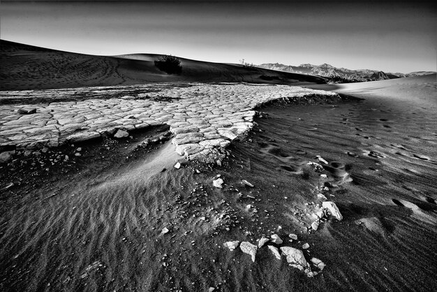 Disparo en escala de grises de Mesquite Dunes en el Parque Nacional Valle de la Muerte en California, EE.