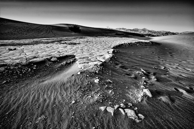 Disparo en escala de grises de Mesquite Dunes en el Parque Nacional Valle de la Muerte en California, EE.