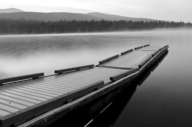 Foto gratuita disparo en escala de grises de un muelle de barco de agua en un lago rodeado de un bosque