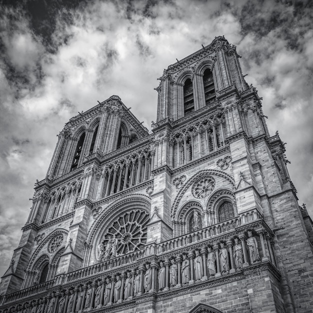 Disparo en escala de grises de Notre-Dame de Paris en París, Francia