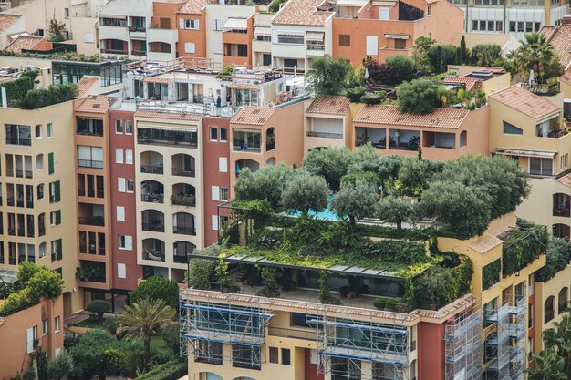 Disparo de gran angular de árboles que crecen en los edificios de una ciudad