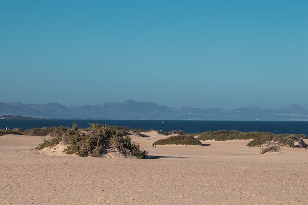 Disparo de gran angular de una costa arenosa con aguas tranquilas