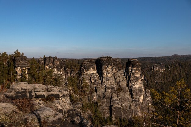 Disparo de gran angular del puente Bastei en Alemania cubierto de árboles bajo un cielo azul claro