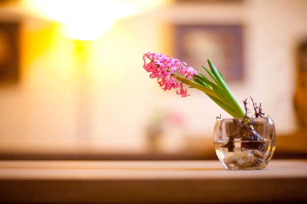 Disparo de gran angular de una rama verde con flores rosadas en un recipiente con agua