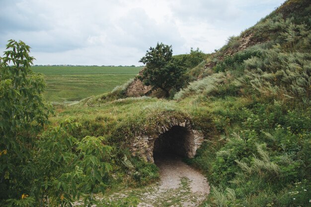 Disparo de gran angular de un túnel rodeado de césped y árboles