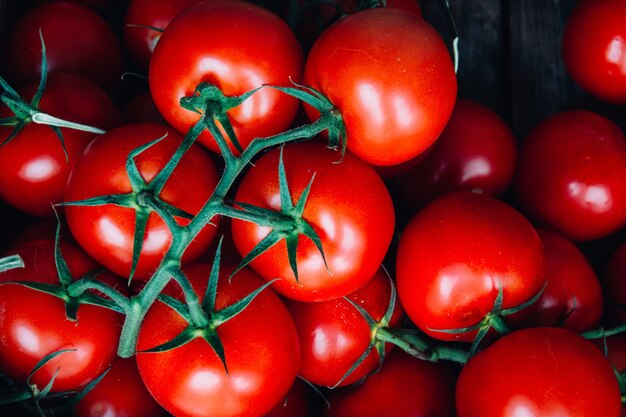 Disparo horizontal de algunos brunch de tomates rojos frescos