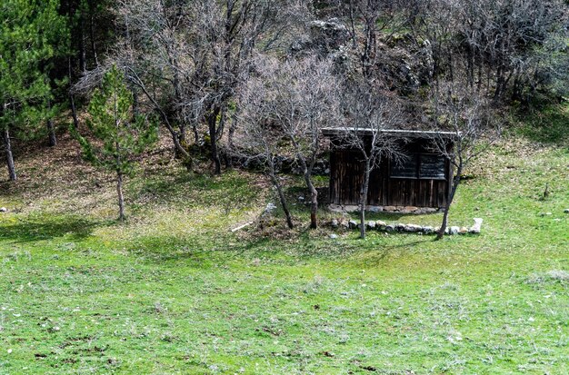 Disparo horizontal de hallazgos arqueológicos hititas de Anatolia