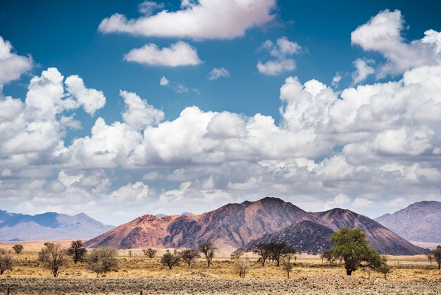 Disparo horizontal del paisaje en el desierto de Namib en Namibia bajo el cielo azul y nubes blancas