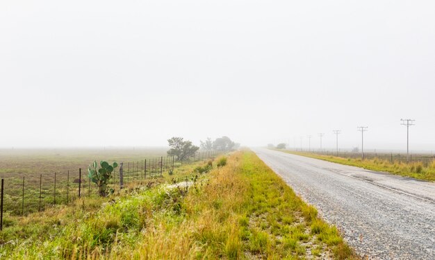 Disparo desde el medio de la carretera en un día soleado