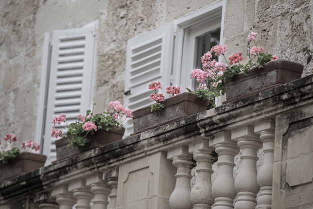 Disparo selectivo de flores rosadas en macetas en el balcón de una casa con paredes de piedra y ventanas blancas
