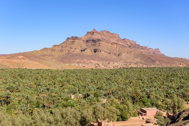 Disparo de Tizin -Tinififft, Tamnougalt, Marruecos