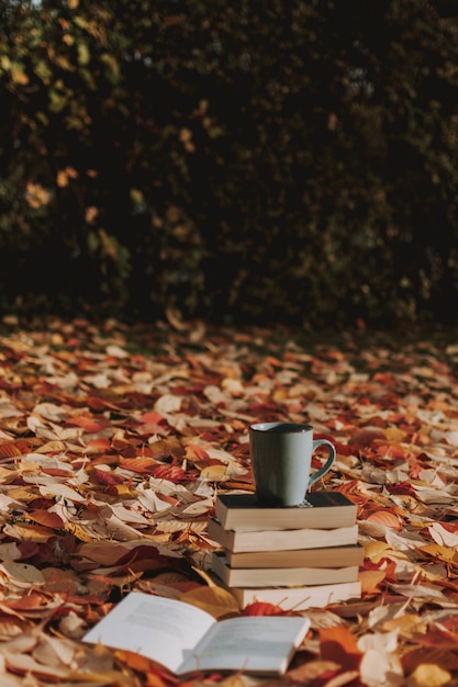 Disparo vertical de algunos libros y una taza de café en el suelo cubierto de hojas de otoño