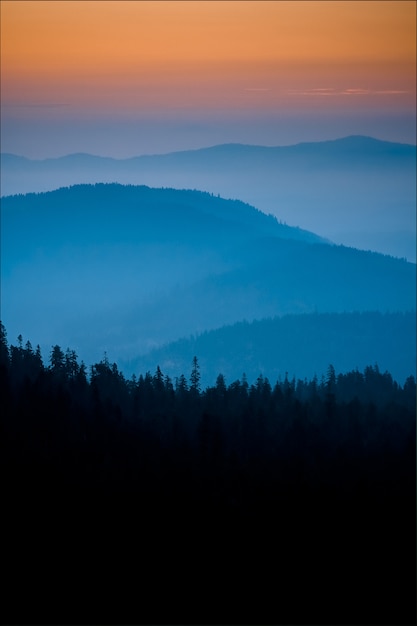 Disparo vertical del amanecer con hermosos tonos pastel de azul y naranja