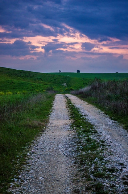 Foto gratuita disparo vertical de ángulo bajo de una impresionante puesta de sol sobre una carretera en medio de un paisaje verde