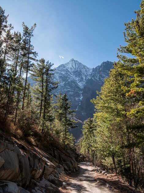 Disparo vertical de Annapurna Himalaya, Nepal